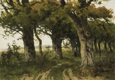 Lane of Oaks in Late Summer