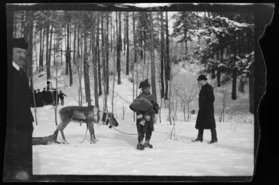 Lapinpukuinen poromies Iissä