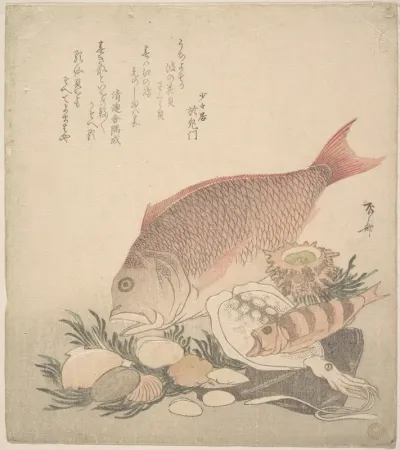 Large and Small Fish Swimming Among Shells and Moss at the Bottom of the Sea