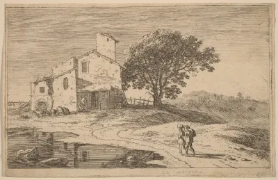 Large Tree near a House