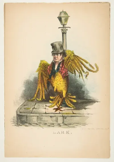 Lark, from "The Comic Natural History of the Human Race"