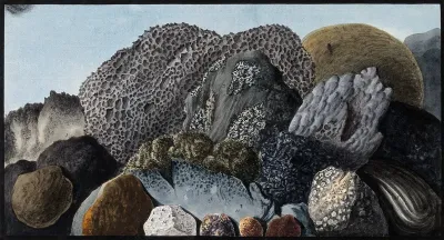 Lava, scoriae and pumice from Mount Vesuvius