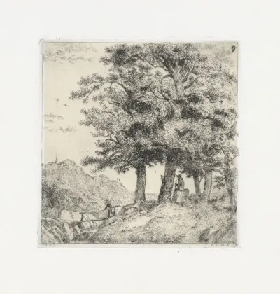 Le Bouquet de Chènes