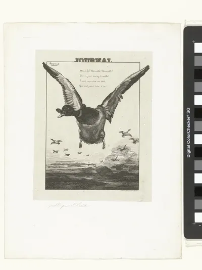 Le canard