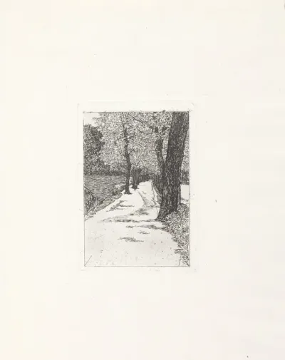 Le Cascine