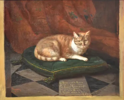 Le chat Faronne