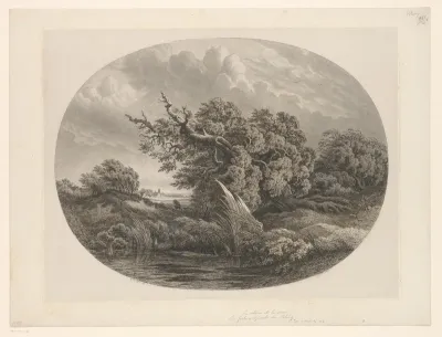 Le chêne et le roseau