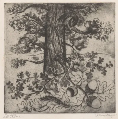 Le chêne