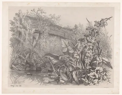 Le chéneau