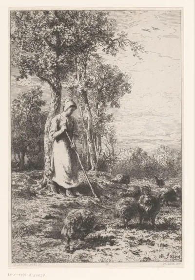 Le gardeuse des dindons