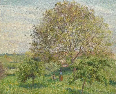 Le Grand Noyer au printemps, Éragny