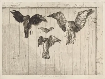 Le haut d'un battant de porte (Birds Nailed to a Barn Door)