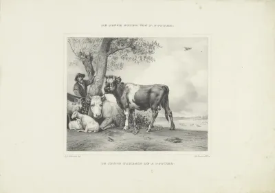 Le jeune taureau de P. Potter
