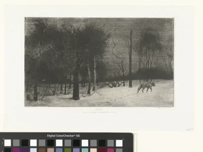 Le loup dans la neige