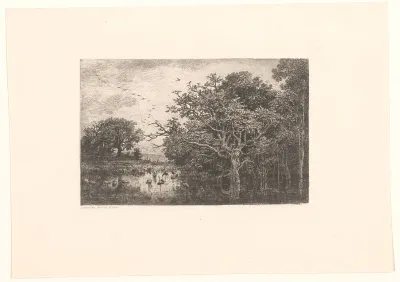 Le marais aux cigognes