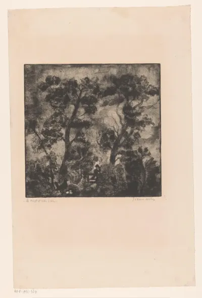 Le nid d'oiseau