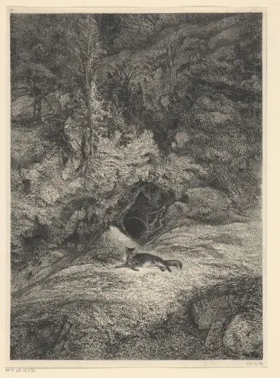 Le renard