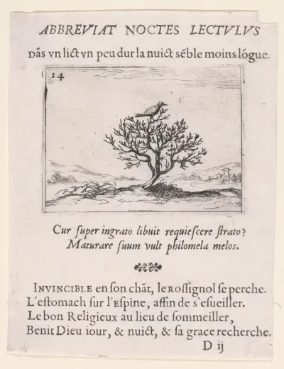 Le Rossignol Posé sur un Buisson (A Nightengale Standing on a Bush), plate 14 from "Lux Claustri ou La Lumière du Cloitre" (The Light of the Cloisters)
