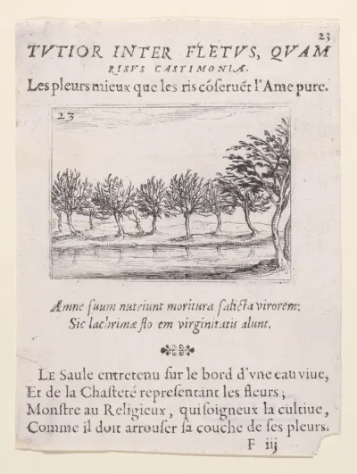 Le Saules au Bord de l'Eau (The Willows at the Waterfront), plate 23 from "Lux Claustri ou La Lumière du Cloitre" (The Light of the Cloisters)