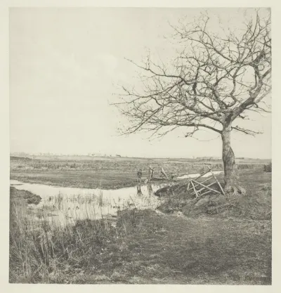 Leafless March (Suffolk)
