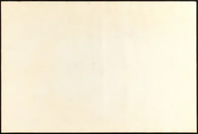 Least Bittern