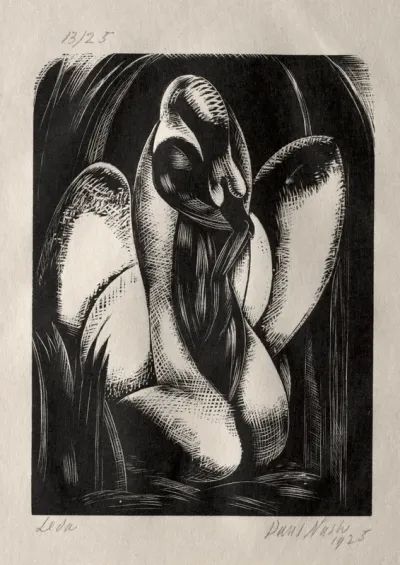 Leda