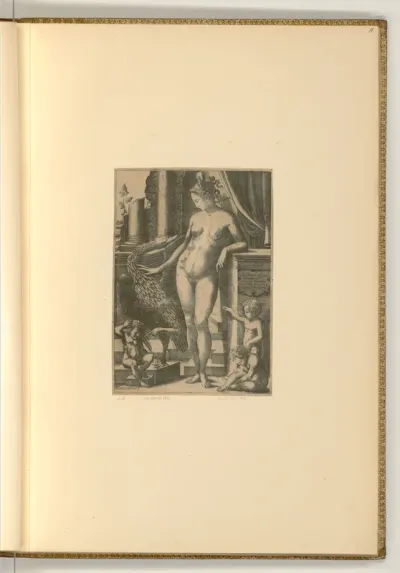 Leda