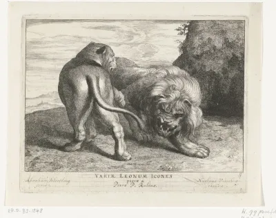 Leeuw met leeuwin