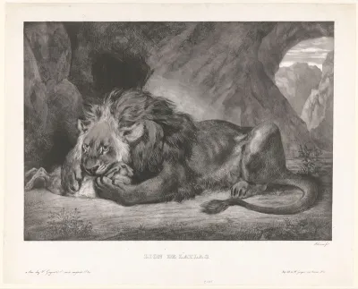 Leeuw verschalkt konijn in een grot