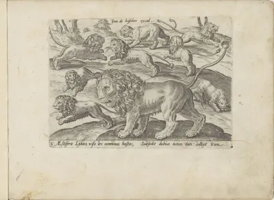 Leeuwen