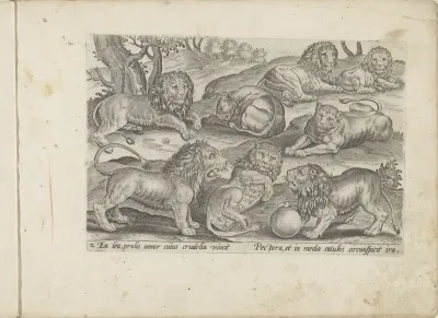 Leeuwen en leeuwinnen