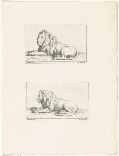 Leeuwen, van opzij gezien