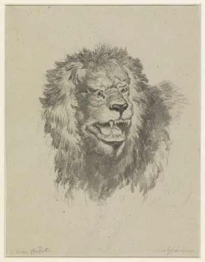 Leeuwenkop