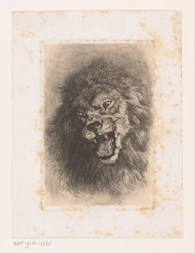 Leeuwenkop