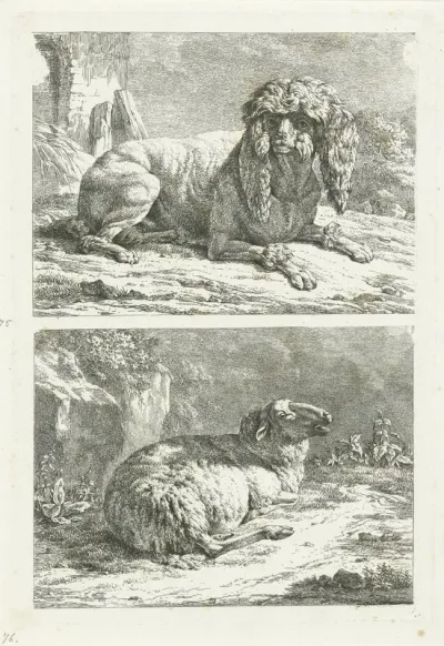 Leeuwhond