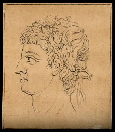 Left profile of a boy exemplifying ancient Greek male beauty