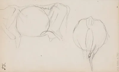 Lehmäharjoitelmia