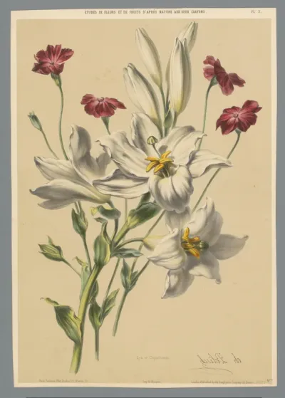 Lelie en prikneus-bloem