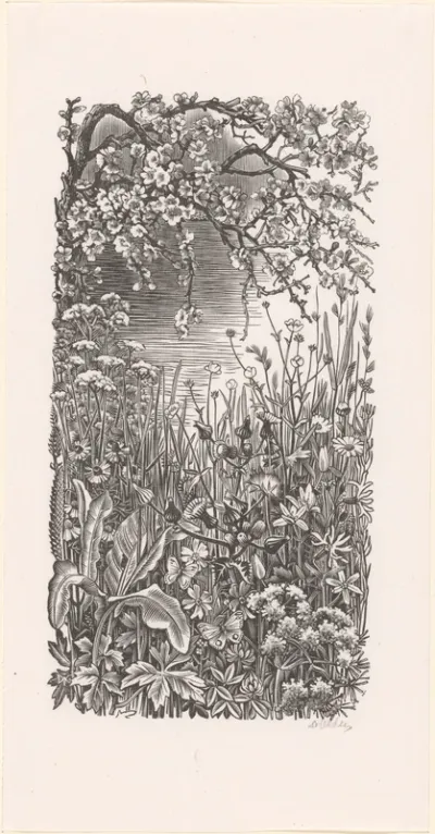 Lentelandschap