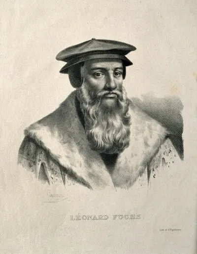 Leonard Fuchs. Lithograph by P. R. Vignéron
