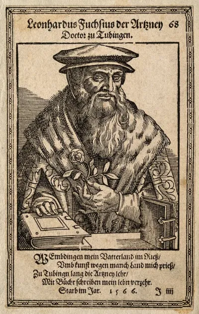 Leonard Fuchs. Woodcut by T. Stimmer, 1587
