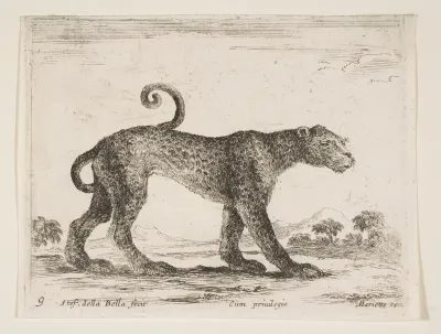 Leopard, plate 9 from "Various Animals" (Diversi Animali)