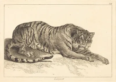 Leopart (Leopard or Tiger)