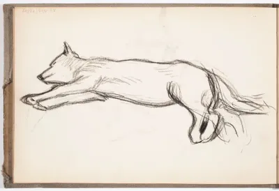 Lepäävä koira