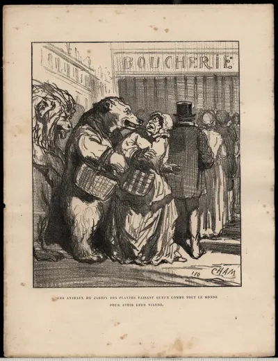 Les animaux du Jardin des Plantes faisant queue comme tout le monde pour avoir leur viande, from Album du Siége