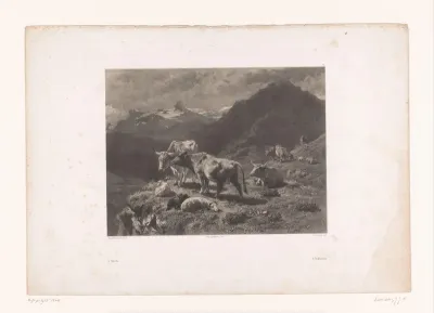 Les Beufs dans la montagne
