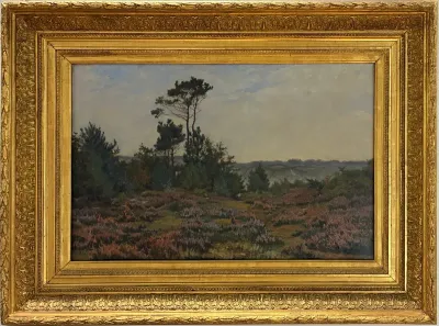 Les Bruyères de Bretagne