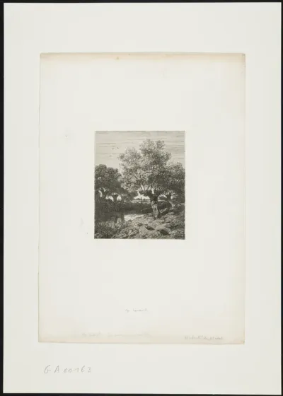 Les canards