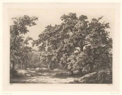 Les chênes, Fontainebleau