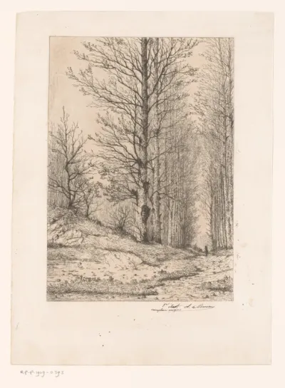 Les dernières feuilles